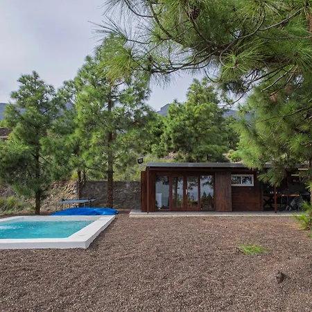 The Pine Forest Cabin