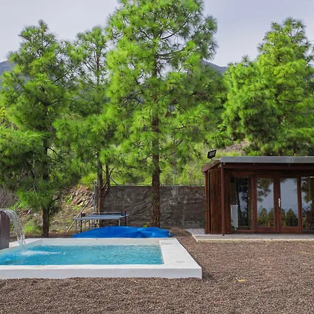 The Pine Forest Cabin *