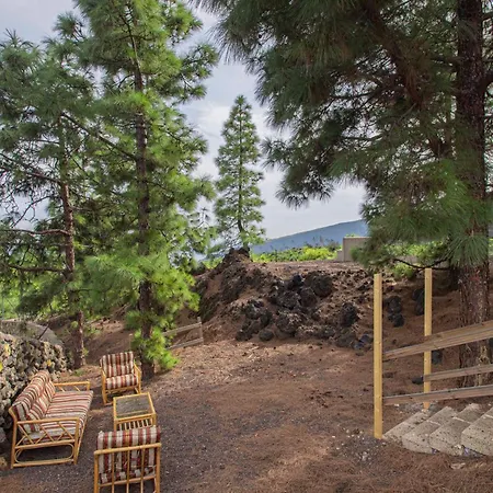 The Pine Forest Cabin Alpesi faház
