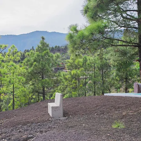 The Pine Forest Cabin Arafo